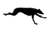 dogrun.gif (3672 bytes)